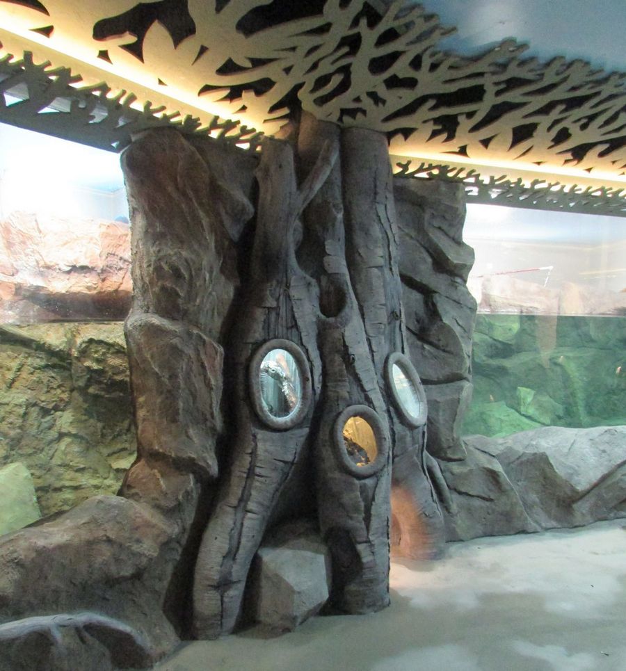 Новые аквариумы от Аква Лого в экспозиции Новосибирского зоопарка